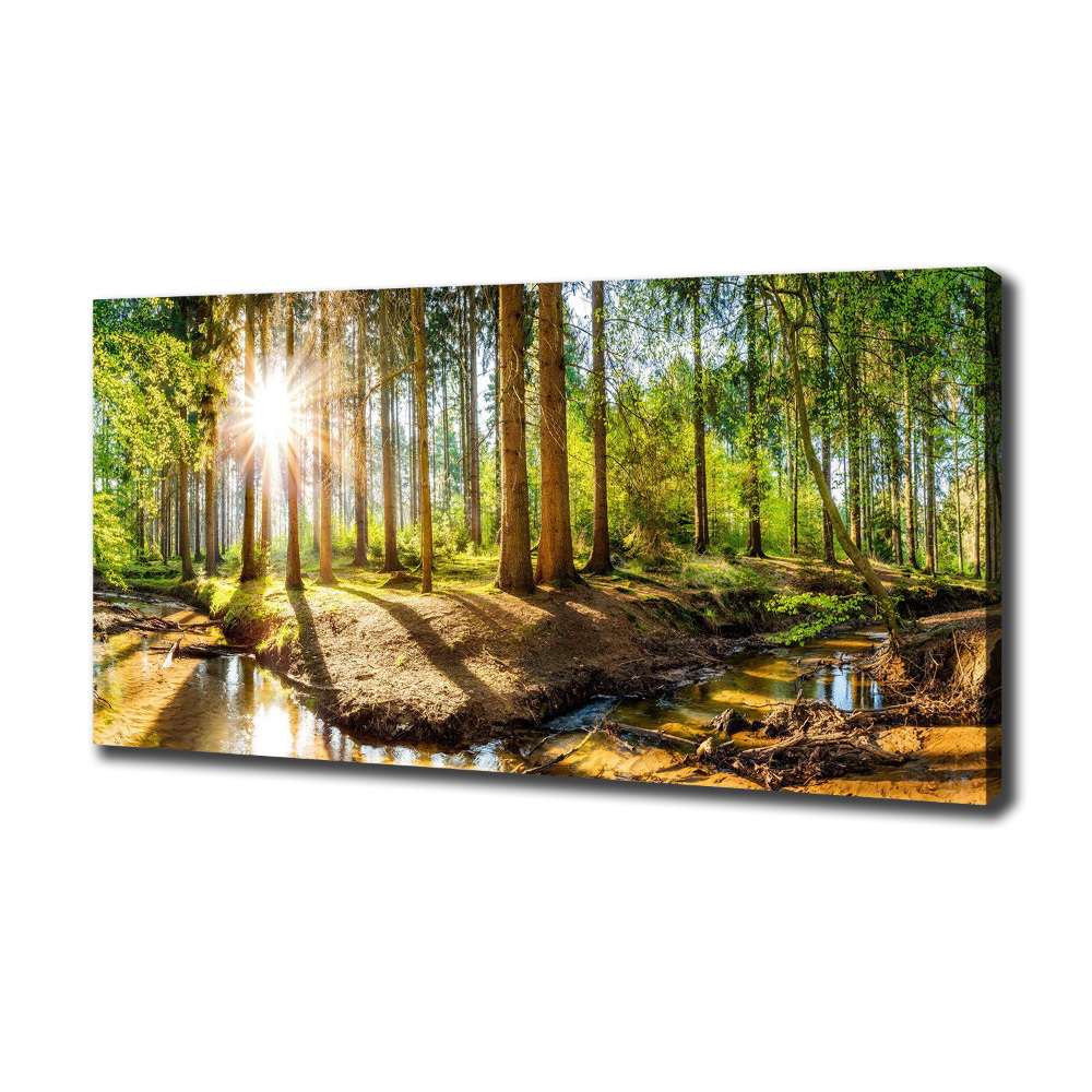 Canvas wall art Panorama of the forest