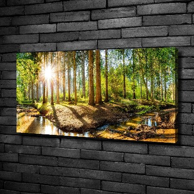 Canvas wall art Panorama of the forest