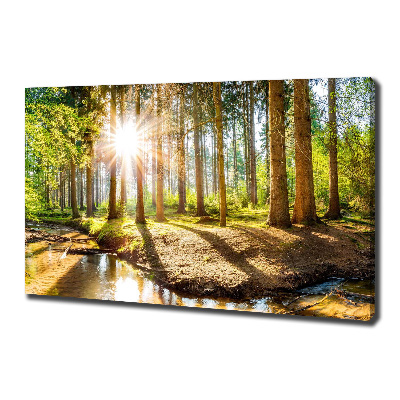 Canvas wall art Panorama of the forest