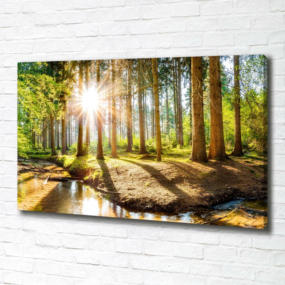 Canvas wall art Panorama of the forest