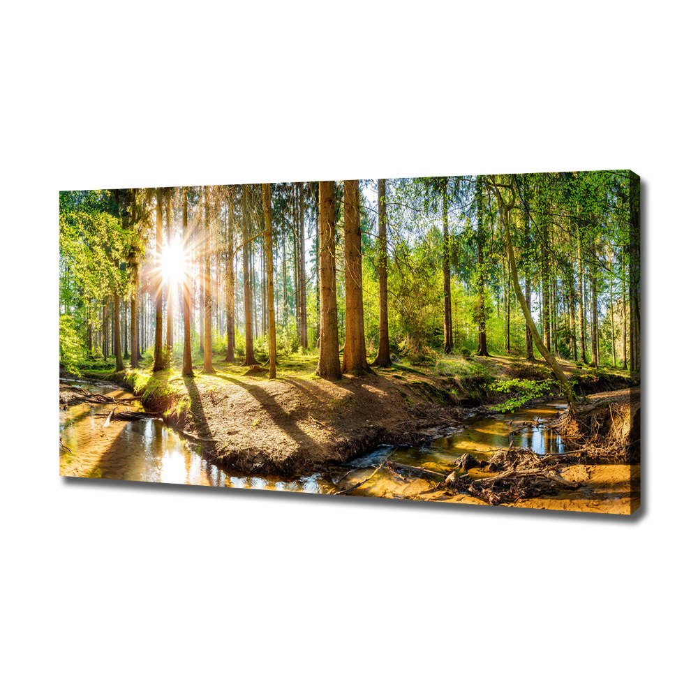 Canvas wall art Panorama of the forest