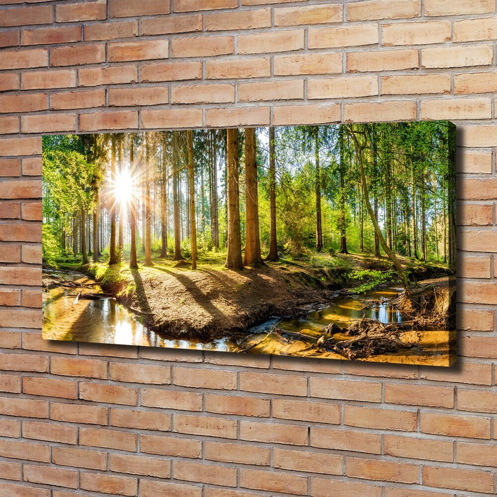 Canvas wall art Panorama of the forest