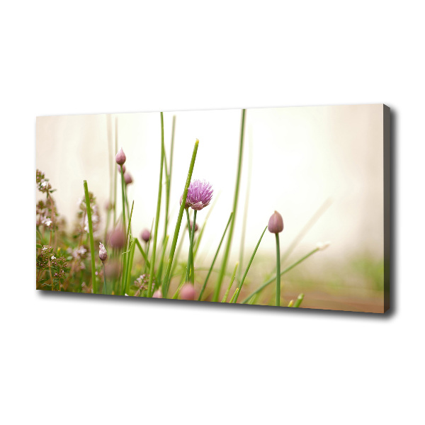 Chives