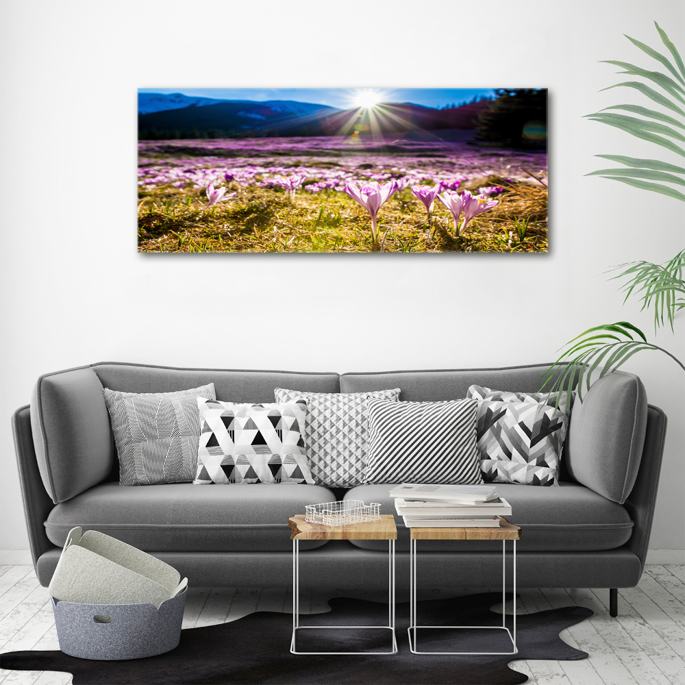 Canvas wall art Crocuses in the clearing