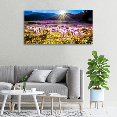 Canvas wall art Crocuses in the clearing