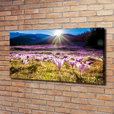 Canvas wall art Crocuses in the clearing