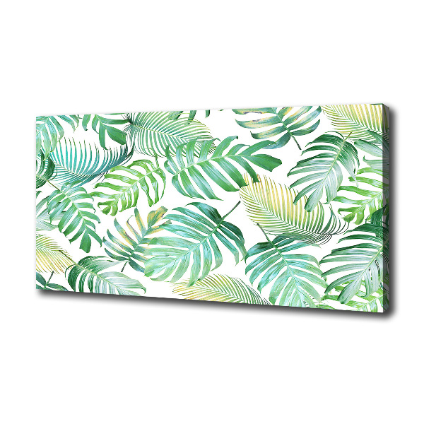 Tropical leaves