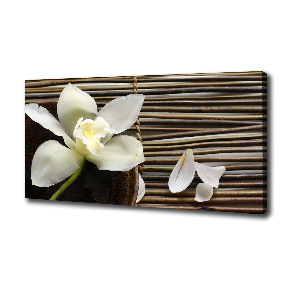 Canvas wall art Orchid