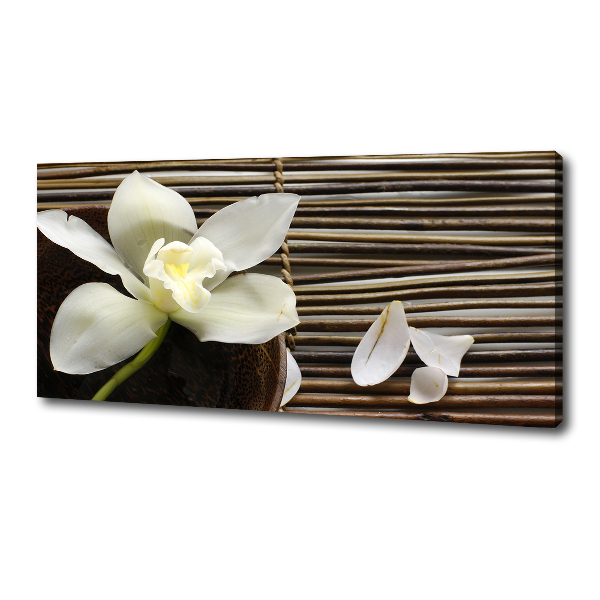 Canvas wall art Orchid