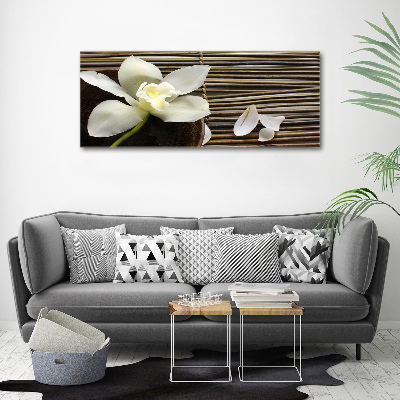 Canvas wall art Orchid