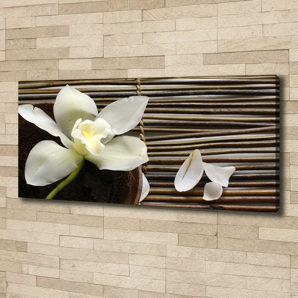 Canvas wall art Orchid