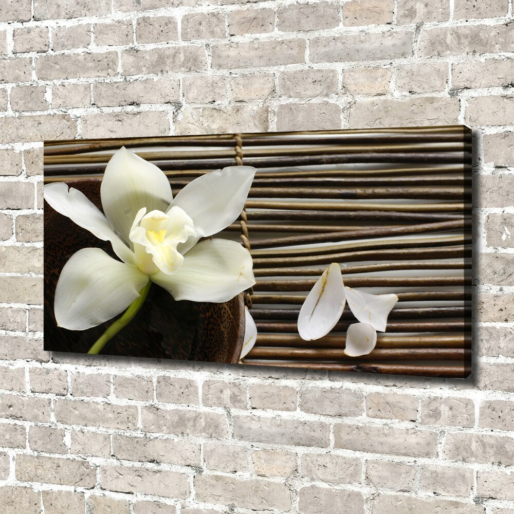 Canvas wall art Orchid