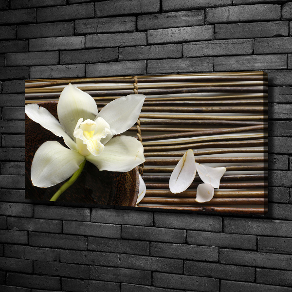 Canvas wall art Orchid