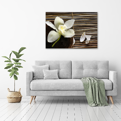 Canvas wall art Orchid