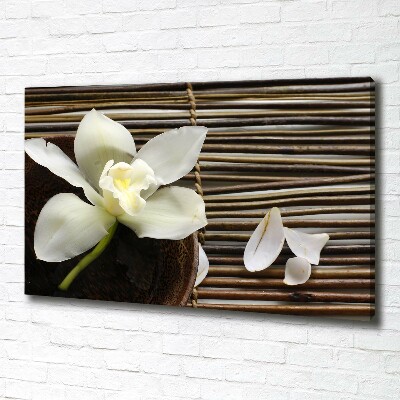 Canvas wall art Orchid