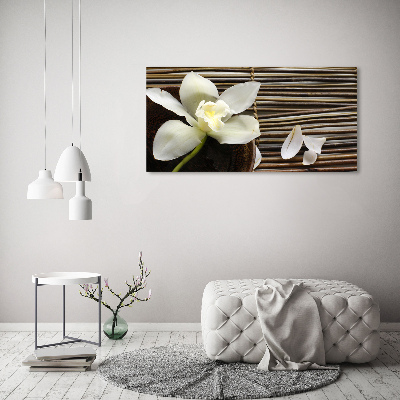 Canvas wall art Orchid