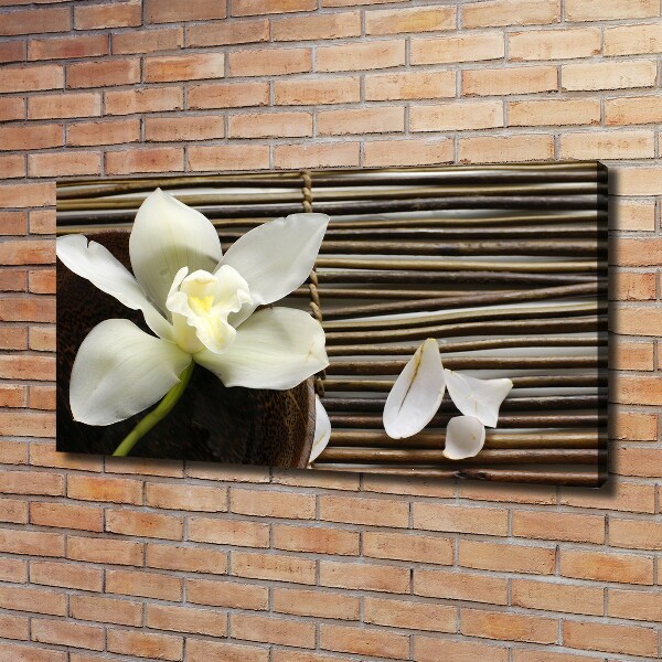 Canvas wall art Orchid