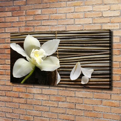 Canvas wall art Orchid