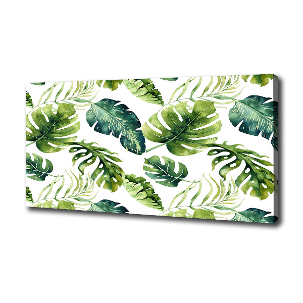 Tropical leaves