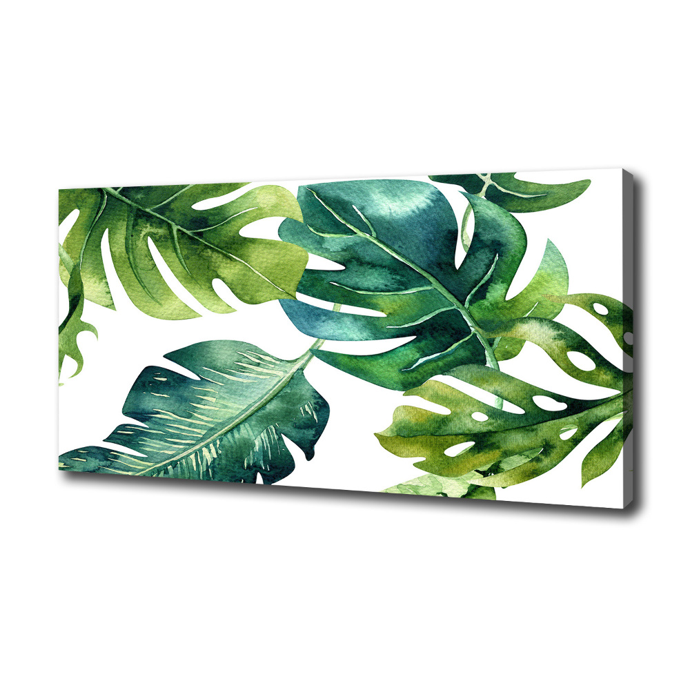 Canvas wall art Tropical leaves