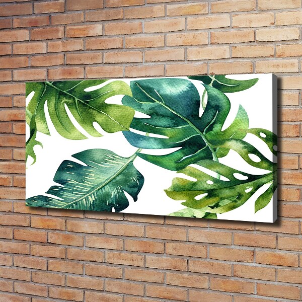 Canvas wall art Tropical leaves