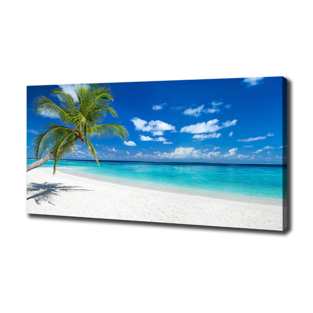 Canvas wall art Tropical beach