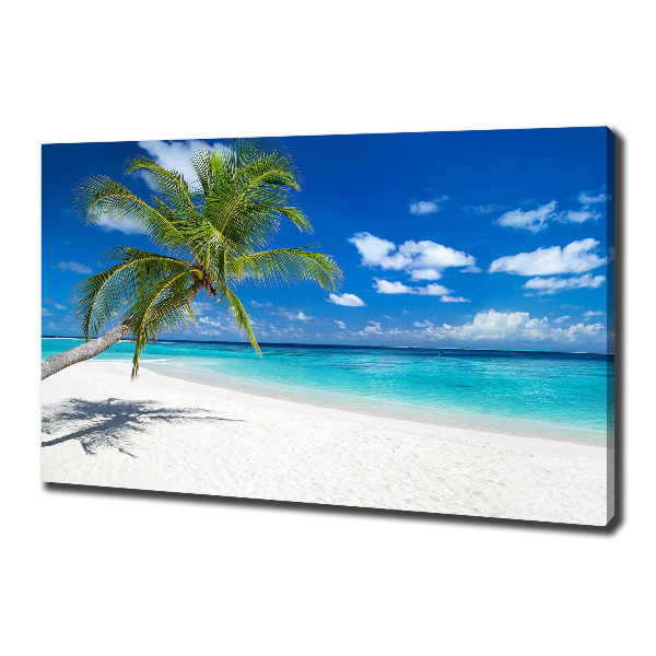 Canvas wall art Tropical beach