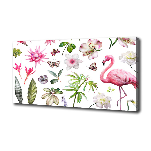 Tropical collection