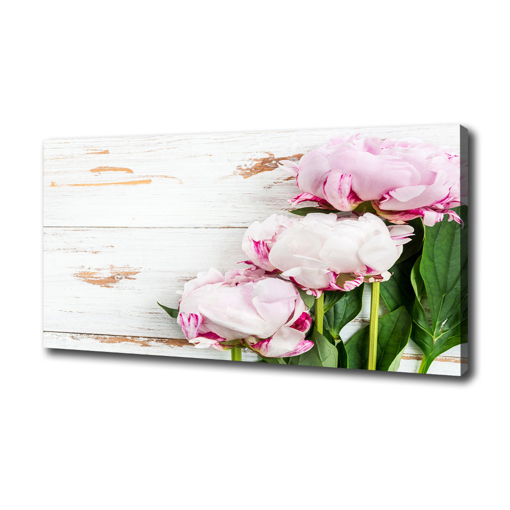 Canvas wall art Peonies