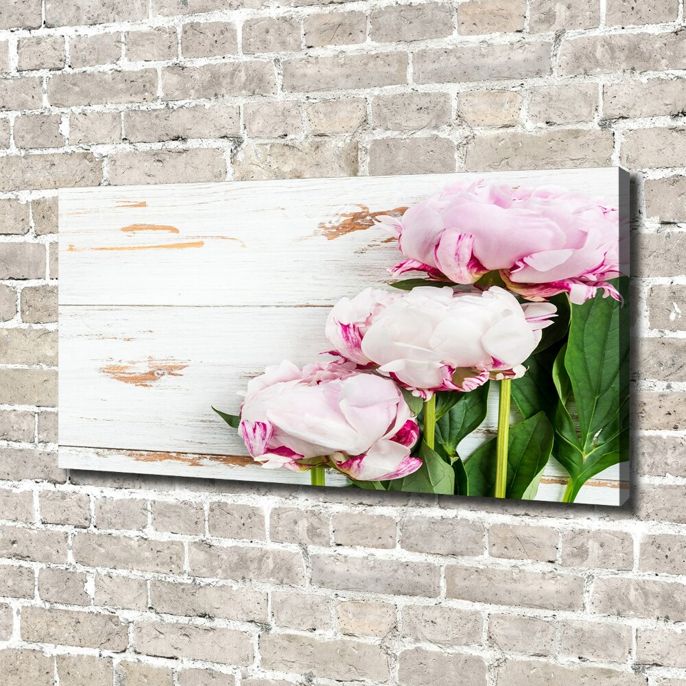 Canvas wall art Peonies