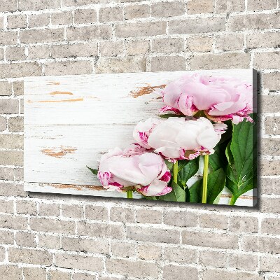 Canvas wall art Peonies