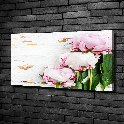 Canvas wall art Peonies