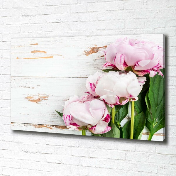 Canvas wall art Peonies