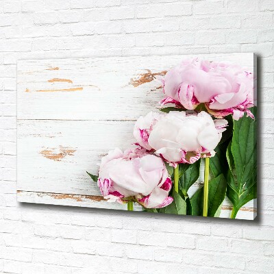 Canvas wall art Peonies