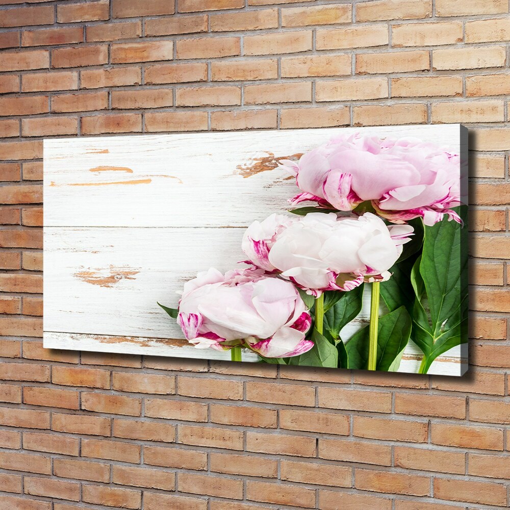 Canvas wall art Peonies