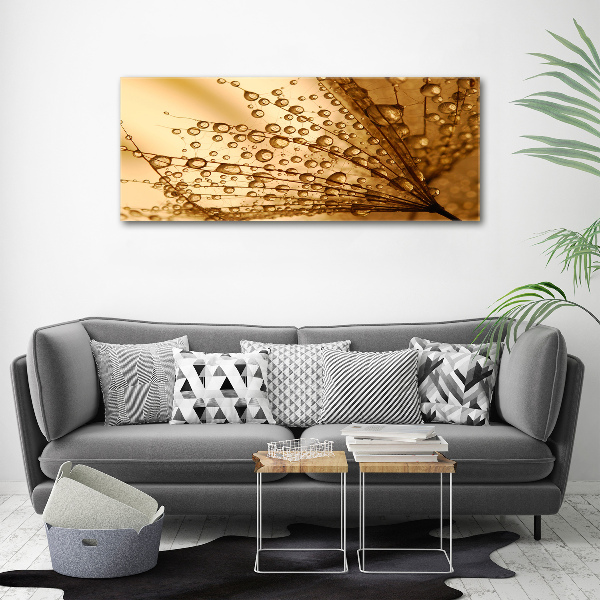 Canvas wall art Dandelion seeds