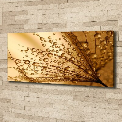 Canvas wall art Dandelion seeds