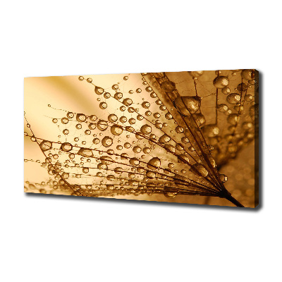 Canvas wall art Dandelion seeds