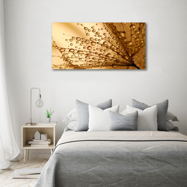 Canvas wall art Dandelion seeds