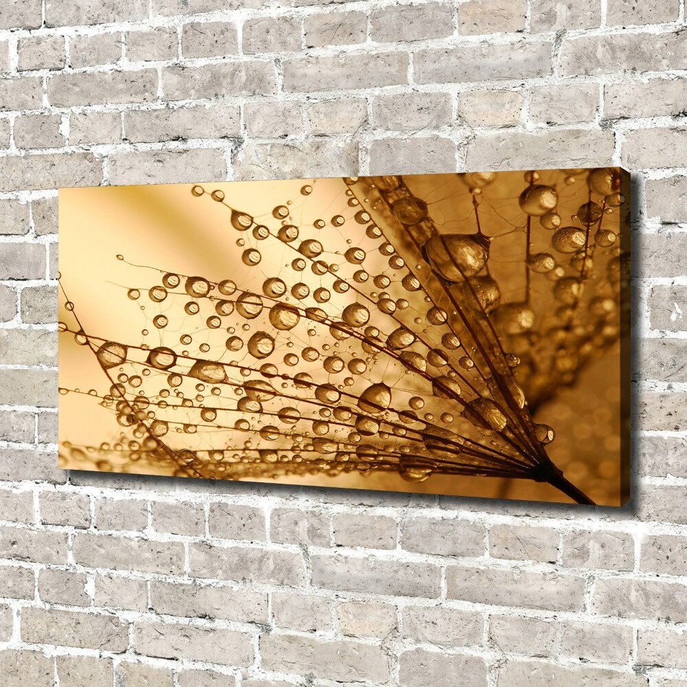 Canvas wall art Dandelion seeds