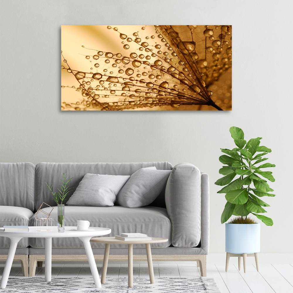 Canvas wall art Dandelion seeds