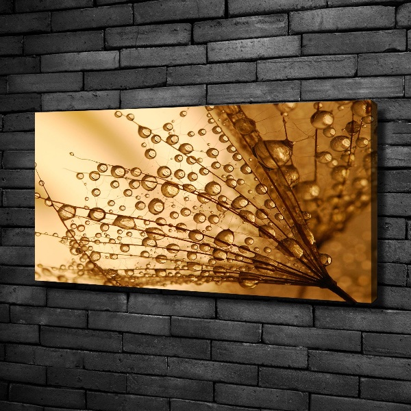 Canvas wall art Dandelion seeds