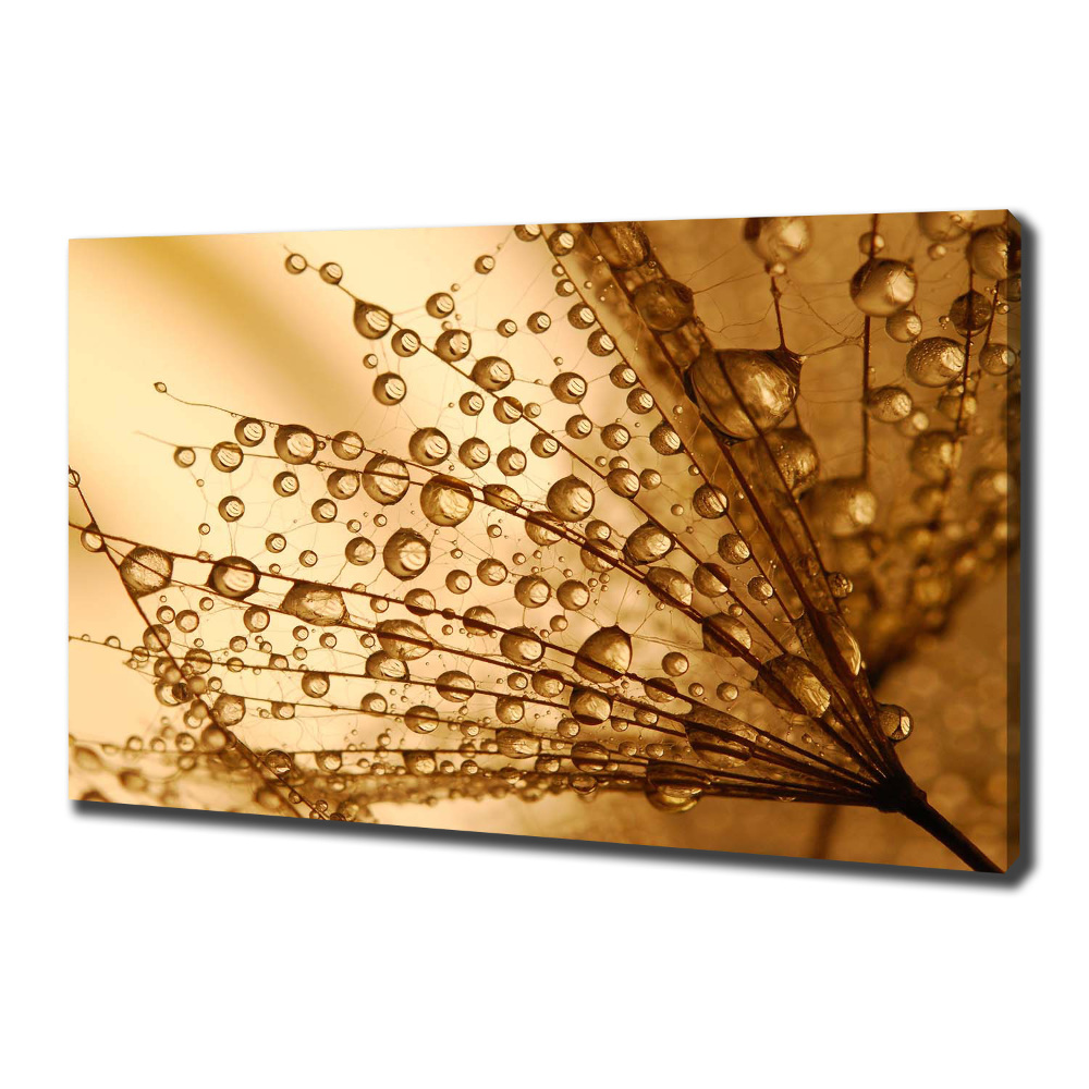 Canvas wall art Dandelion seeds