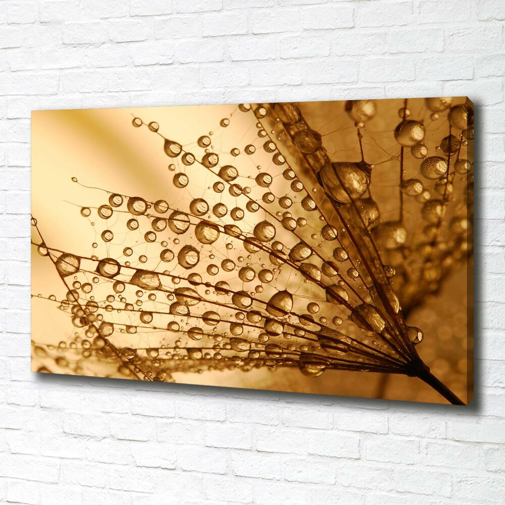 Canvas wall art Dandelion seeds