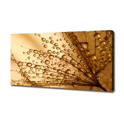 Canvas wall art Dandelion seeds