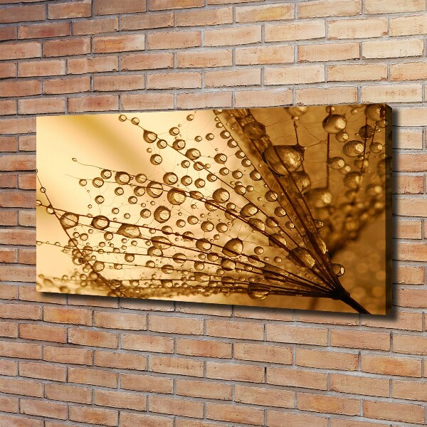 Canvas wall art Dandelion seeds