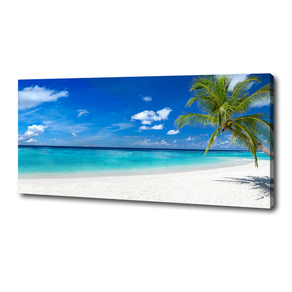 Canvas wall art Tropical beach