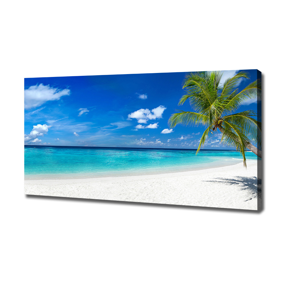 Canvas wall art Tropical beach