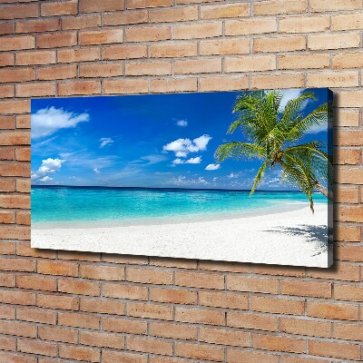 Canvas wall art Tropical beach