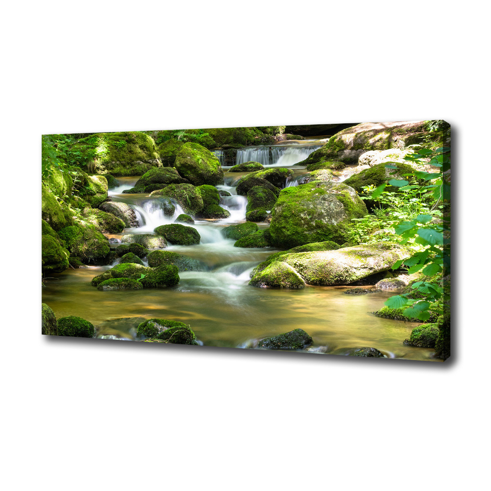 Canvas wall art Waterfall